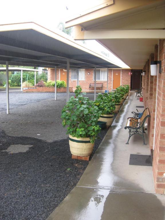 Alfa Motel Gilgandra Kültér fotó